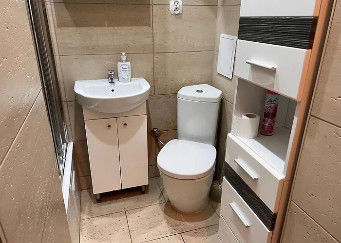 Slavia 米兹多洛杰