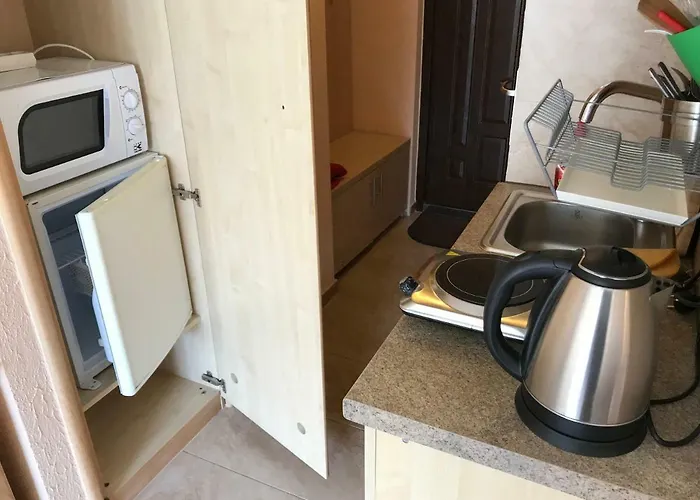 公寓 Slavia 米兹多洛杰